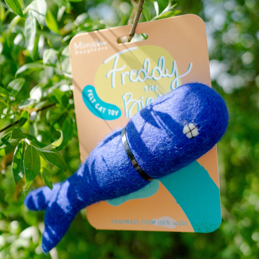 Visvormig kattenspeeltje in blauw, gemaakt van 100% natuurlijke gevilte wol – milieuvriendelijk alternatief voor plastic speelgoed