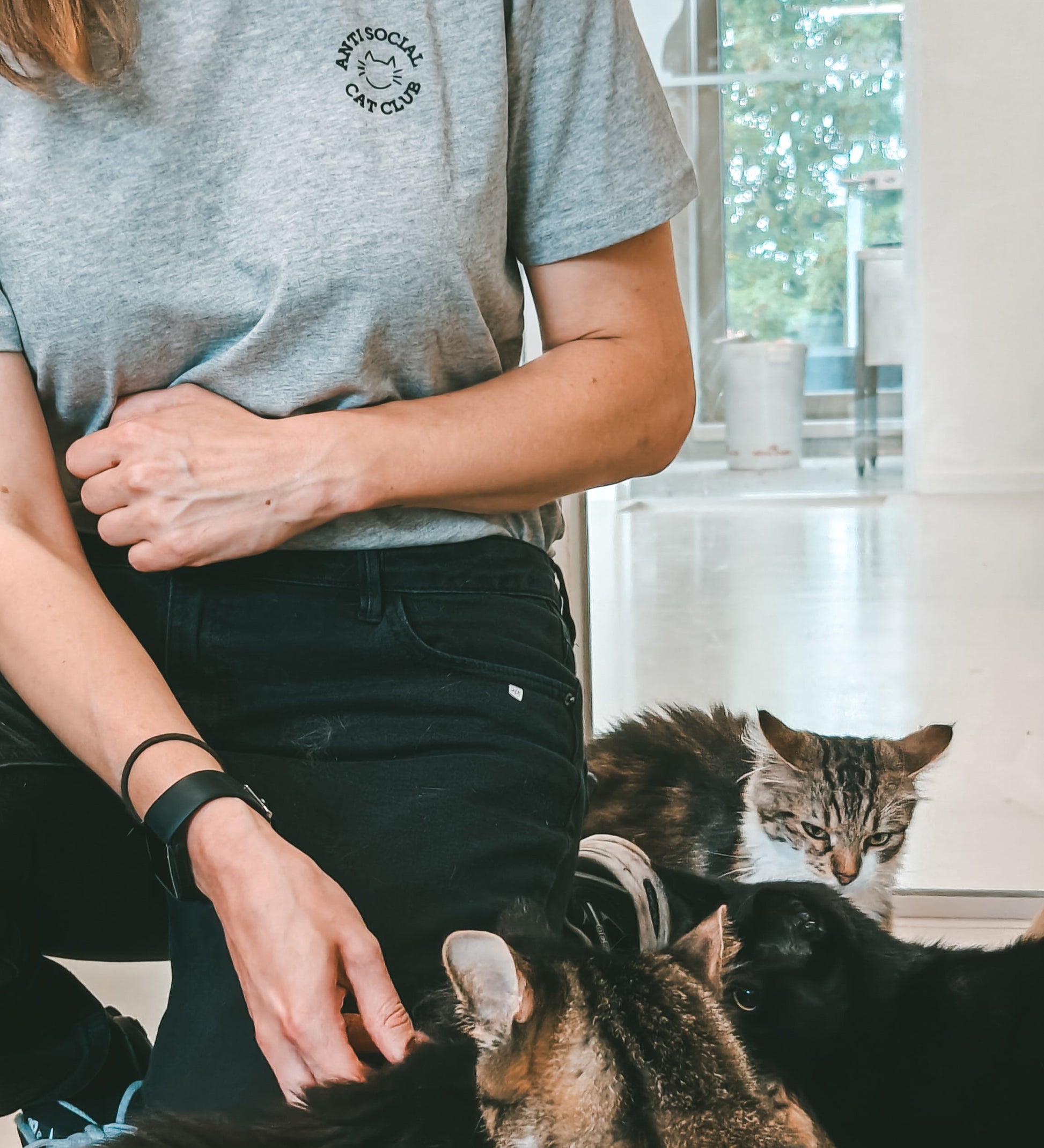 Lifestyle foto van lichtgrijze t-shirt met ‘Anti Social Cat Club’ opschrift, omringd door katten