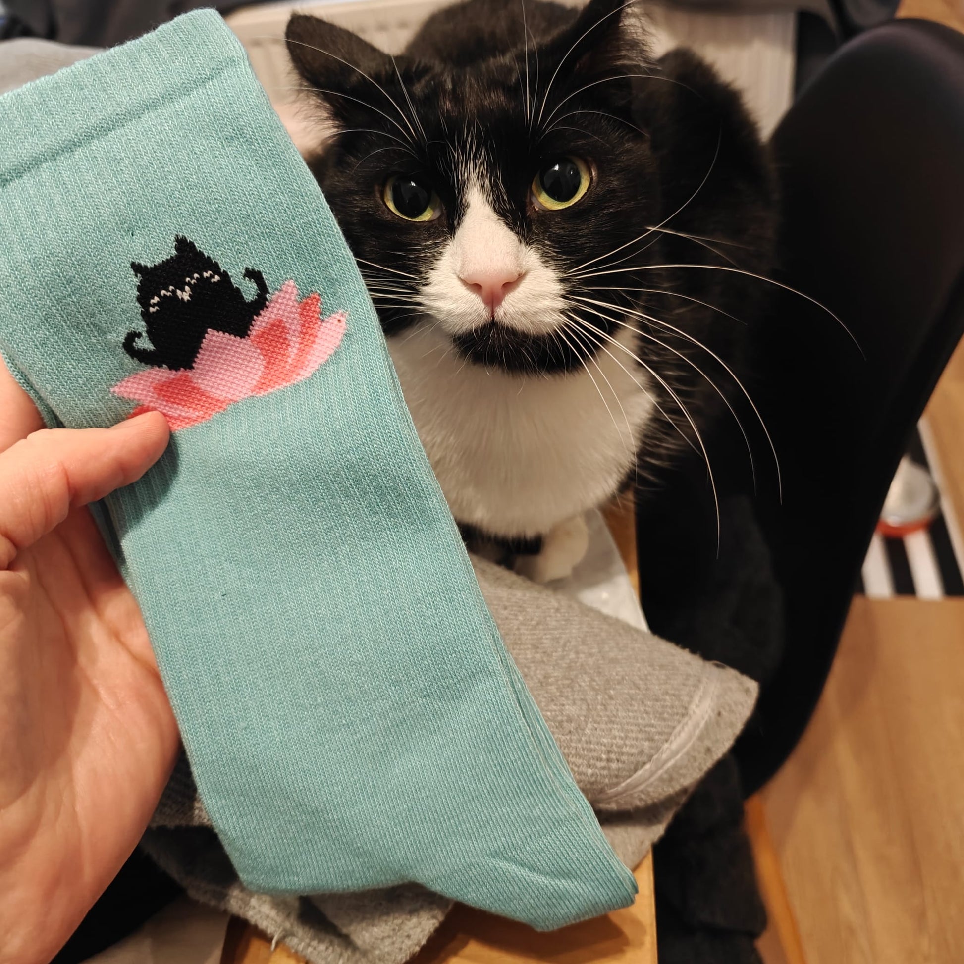 Detail van sokken met roze lotusbloem en zwarte kat op groenblauwe achtergrond