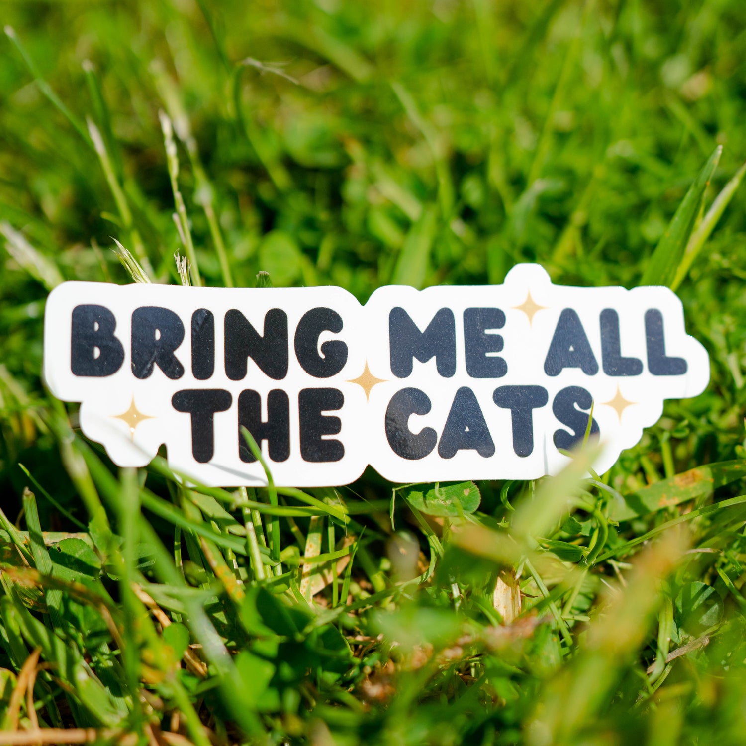 Sticker voor de kattenfans dat leest, bring me all the cats