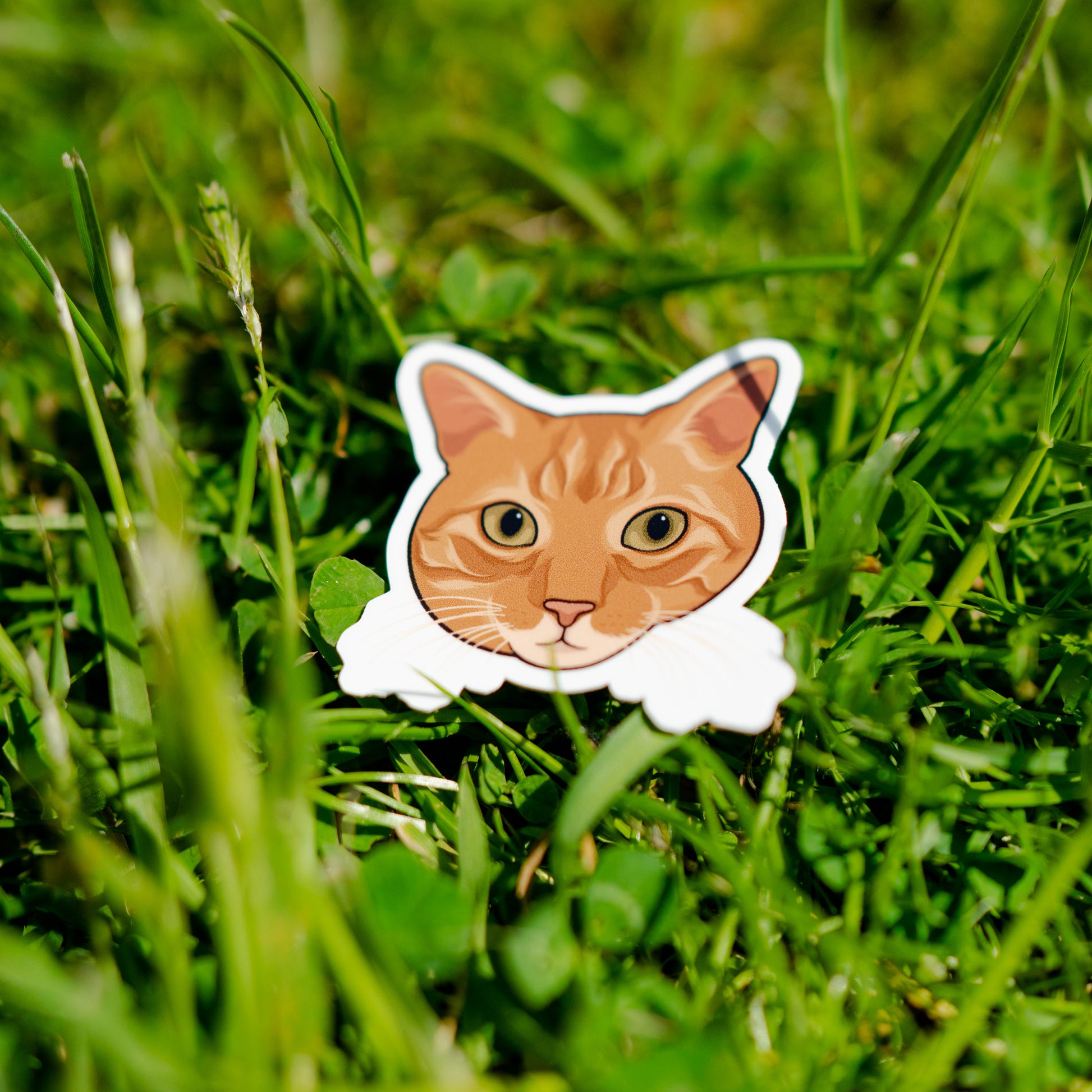 Sticker van een speelse oranje kat – perfect voor kattenfans en creatieve oppervlakken


