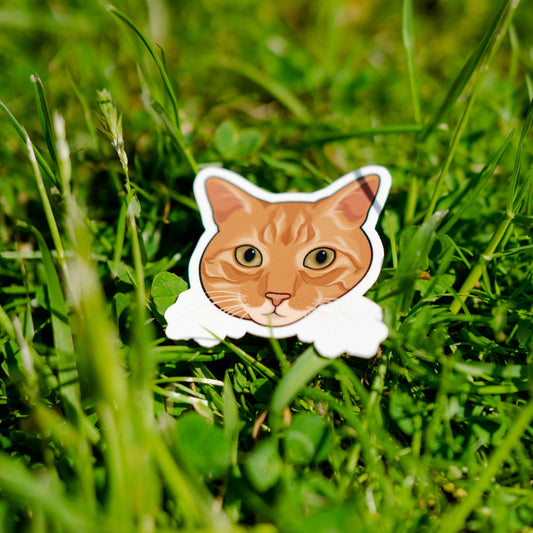 Sticker van een speelse oranje kat – perfect voor kattenfans en creatieve oppervlakken


