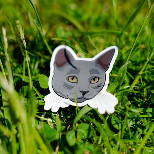 Sticker van een grijze kat met een mysterieus en stijlvol design, perfect voor kattenfans
