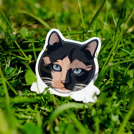 Sticker van een tricolor kat met een mysterieus en stijlvol design, perfect voor kattenfans
