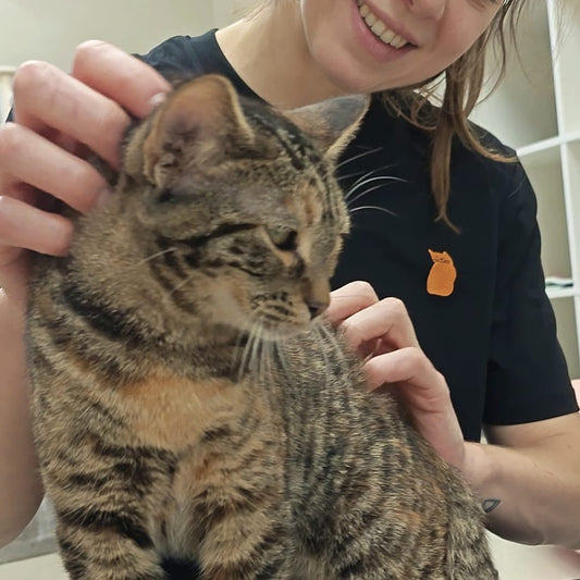 Unisex shirt met ginger kat geborduurd op de borst, zwarte katoenstof. Knuffelend met tabby cat.

